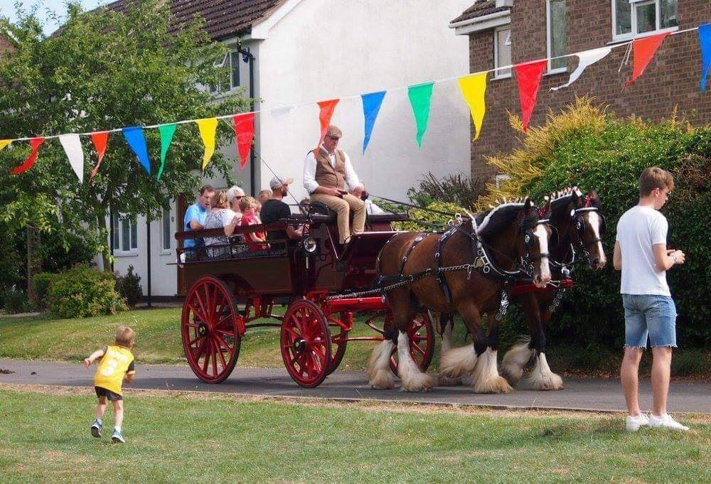 Victoria Brake carriage with canopy